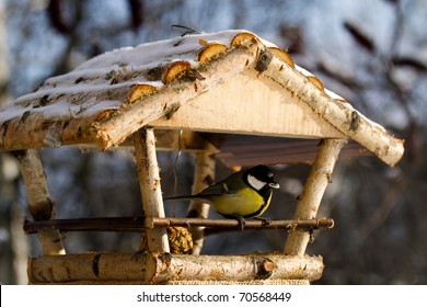 Titmouse Eating From The Bird Feeder In Winter