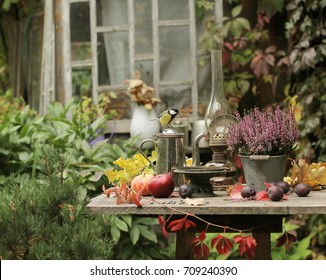 Titmouse,flowers And Fruit On Table In Autumn Garden