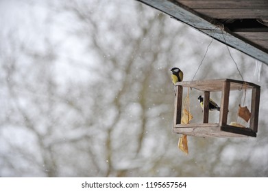 speckled tit birdfeeder Speckled tit birdfeeder
