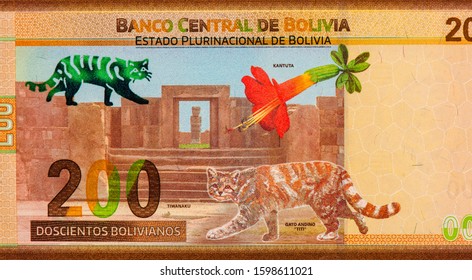 Tiwanku, Cantua Buxifolia, Andean Mountain Cat. Portrait From Bolivia 200 Pesos 2019 Banknotes.