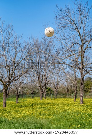 Similar – Image, Stock Photo #A# Hot air Environment