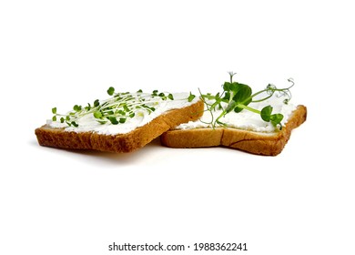 8,884 Microgreens on bread Images, Stock Photos & Vectors | Shutterstock