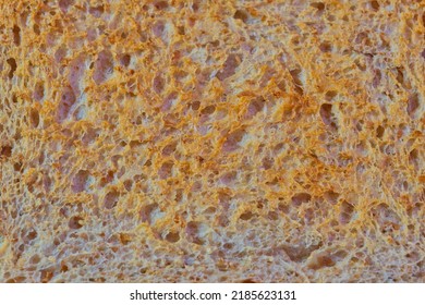 Toasted Whole Grain Toast, Macro Photo,