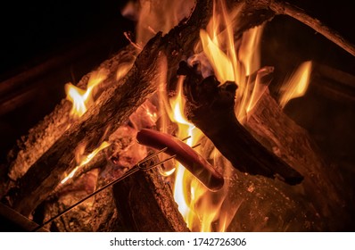 Toasting Hotdogs On A Campfire