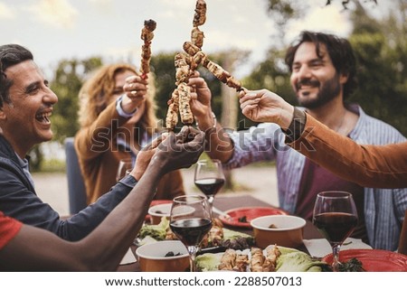 Toasting with Skewers - Group of people in their 30s and 40s at a garden table, holding meat skewers and toasting. Mixed ethnicity. Blurred trees and sunset in the background. Foto d'archivio © 