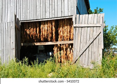 Kentucky Business Images Stock Photos Vectors Shutterstock
