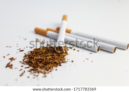 Tobacco. Cigarettes on a white background.