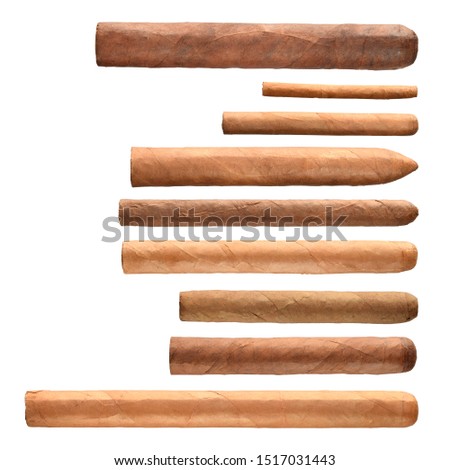 Tobacco cigars collection or set of different sorts closed up isolated on white