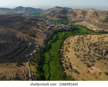 Tobacco Fields Drone Photo, Southeastern Anatolia Region Mardin, Turkey