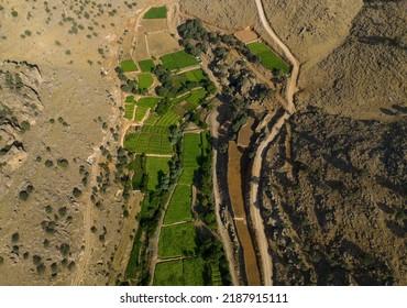 Tobacco Fields Drone Photo, Southeastern Anatolia Region Mardin, Turkey