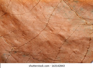 Tobacco Leaf Texture