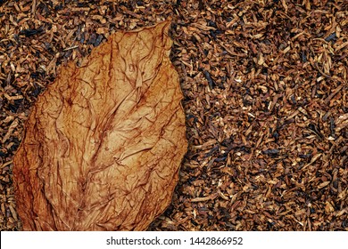 Tobacco Leaves Background, Close Up. High Quality Dry Cut Tobacco  Big Leaf, Macro Close Up