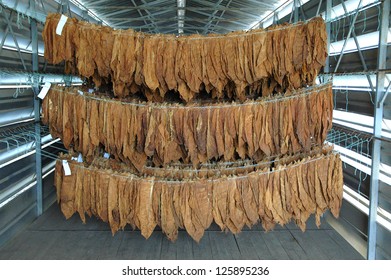 Tobacco Leaves Drying In A Factory Dryer