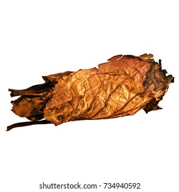 Tobacco Leaves Isolated On White Background