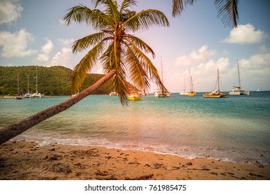 Tobago Cays In Saint-Vincent And The Grenadines