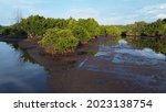 Tobati, Jayapura, Papua Indonesia: Mangrove forest around tobadi village cultivated by local people to reduce seawater abrasion (30 April 2021)