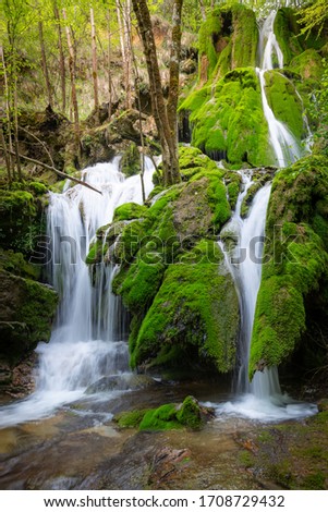 Similar – Image, Stock Photo Bear Guard Gorge Nature