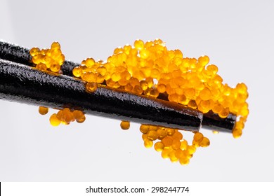 Tobiko (flying Fish Caviar) Extreme Closeup