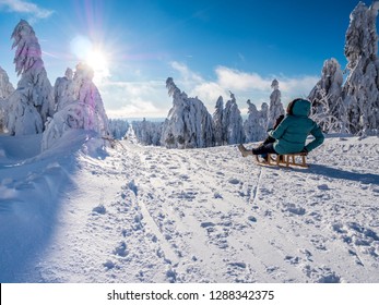 Toboggan High Res Stock Images Shutterstock