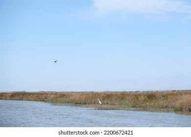 Todal Wetland Salt Pond Restoration