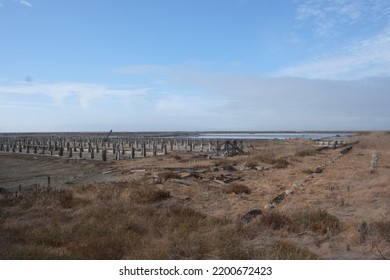 Todal Wetland Salt Pond Restoration