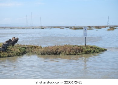 Todal Wetland Salt Pond Restoration