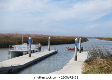 Todal Wetland Salt Pond Restoration