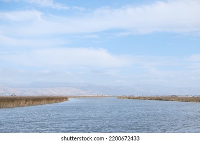 Todal Wetland Salt Pond Restoration