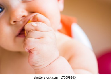 Toddler Baby Food Feeding Up First Solids. Vegan Meal Concept. Self Eating Apples Fruits, Holding With Hands, Sit In Highchair. Close Up.