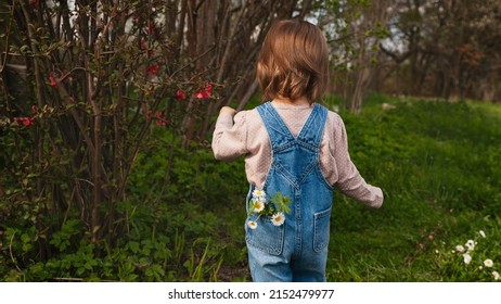 Toddler Baby Girl Wearing Blue Denim Overalls Standing In Garden Daisy Flowers In Jeans Pocket. Childhood Innocent Concept.