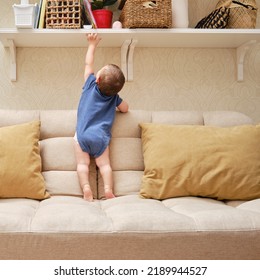 Toddler baby reaches for things on the shelf while standing on the couch. A child boy is standing on the couch and wants to get items. Kid age one year - Shutterstock ID 2189944527