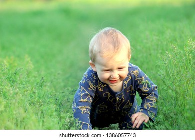 Toddler blond boy on green bright grass on a sunny day, selective focus. - Shutterstock ID 1386057743