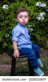 Toddler Boy with brown curly hair and large brown eyes wearing a blue shirt and jeans sitting on a black stool in front of a green bush - Shutterstock ID 2028316859
