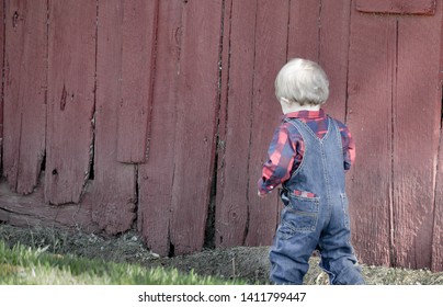 A Toddler Boy Dressed In  Denim Coveralls And A Red Plaid Flannel Shirt Explores An Old Red Painted Wooden Barn Walking Outside. 