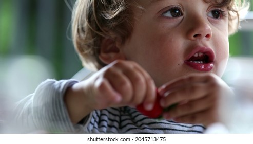 Toddler Boy Eating Strawberry Fruit, Parent Putting Napkin On Baby Collar