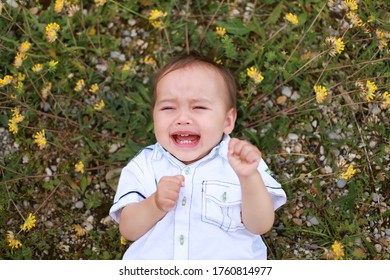 Toddler boy lying on the grass screaming and crying because he sad or tired while playing outdoor park.mixed race Asian-German kid emotion mad top view. - Powered by Shutterstock