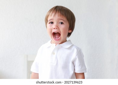 Toddler boy screaming with mouth open on white background. Mixed race Asian-German child about two years old. Terrible two concept.