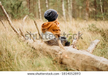 Toddler boy sits on a tree in the woods and eats waffle. Little lonely child lost alone in the forest. View from back. 