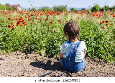 A Toddler Boy Sitting On The Ground At The Poppy Field And Playing With Soil. Lifestyle. Copy Space.