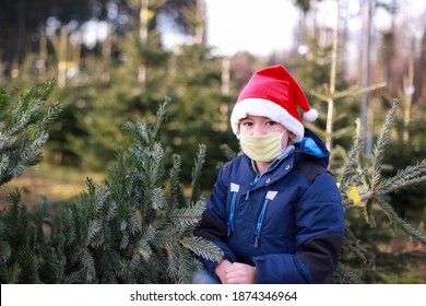 Toddler Boy Wearing Face Mask And Santa Claus Hat At Cut Your Own Christmas Tree Farm During Coronavirus, Covid-19 Lockdown. New Normal Life Holiday Celebration.