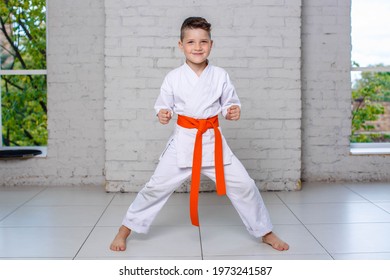 Toddler a boy in a white kimono with an orange belt stands in a pose on a white background 