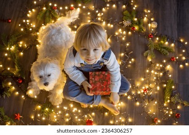 Toddler child, cute blond boy, sitting on the floor with pet dog, christmas lights around him - Powered by Shutterstock