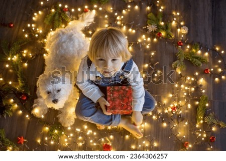 Toddler child, cute blond boy, sitting on the floor with pet dog, christmas lights around him