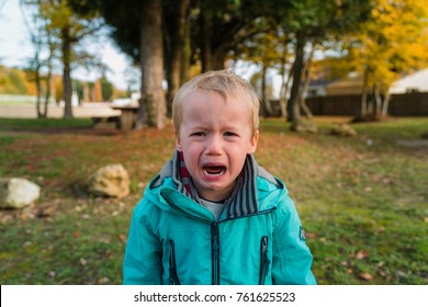 toddler crying aumumn background 