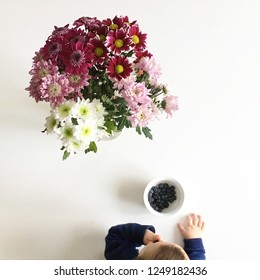 Toddler Eating Blueberries