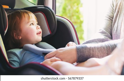 Toddler girl buckled into her car seat - Shutterstock ID 567879337