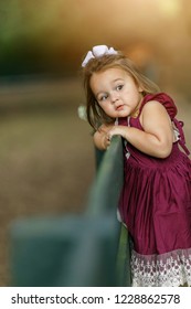 Toddler Girl Looking over Fence