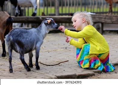 Toddler Girl Petting Little Goat In The Kids Farm. Cute Kind Child Feeding Animals In The Zoo. 