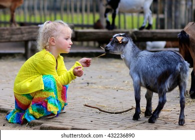 Toddler Girl Petting Little Goat In The Kids Farm. Cute Kind Child Feeding Animals In The Zoo. 