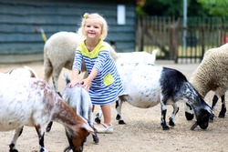 Toddler Girl Petting Little Goats In The Kids Farm. Cute Kind Child Playing And Feeding Animals In The Zoo.